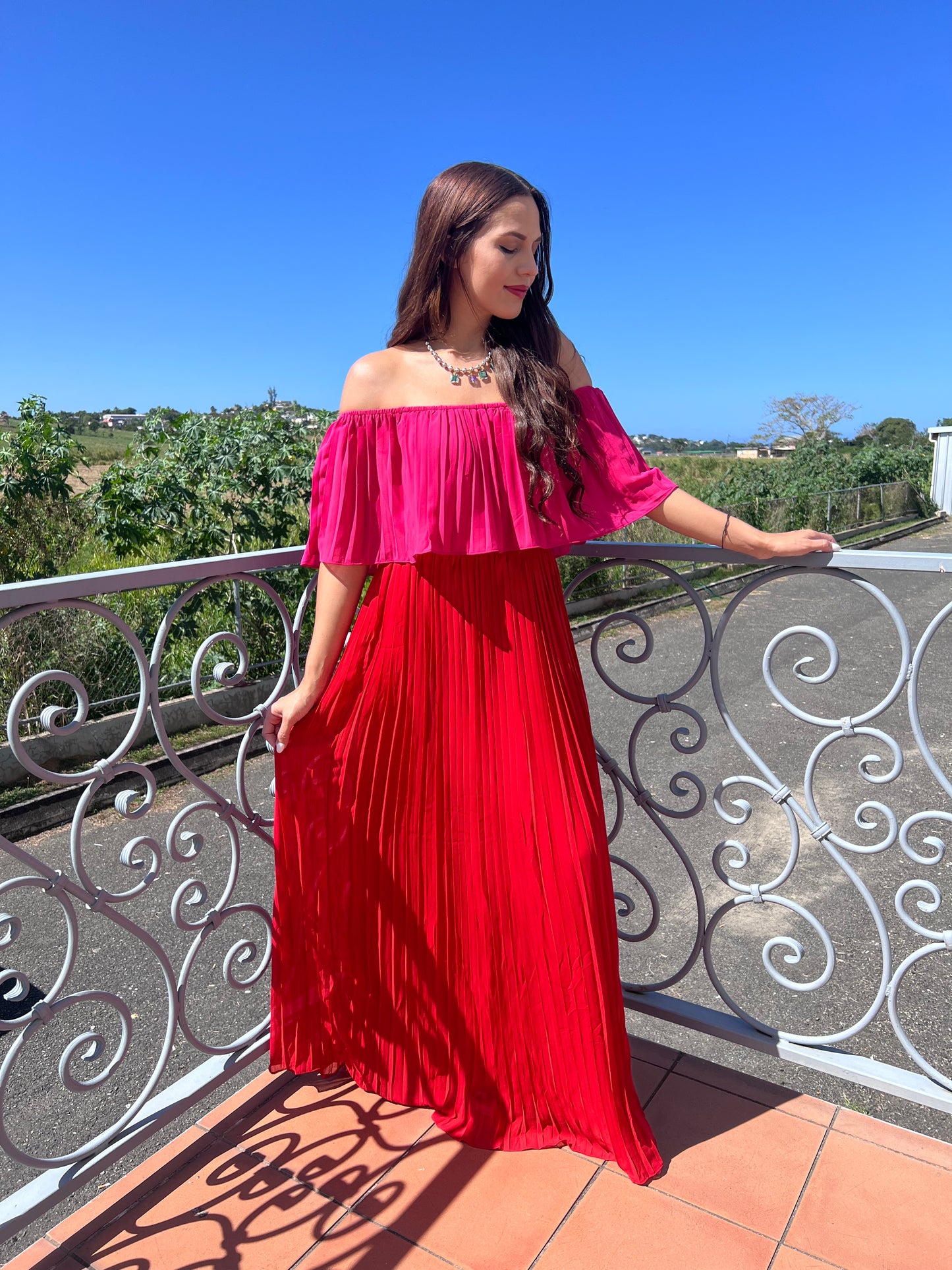 Rose & Red Maxi Dress